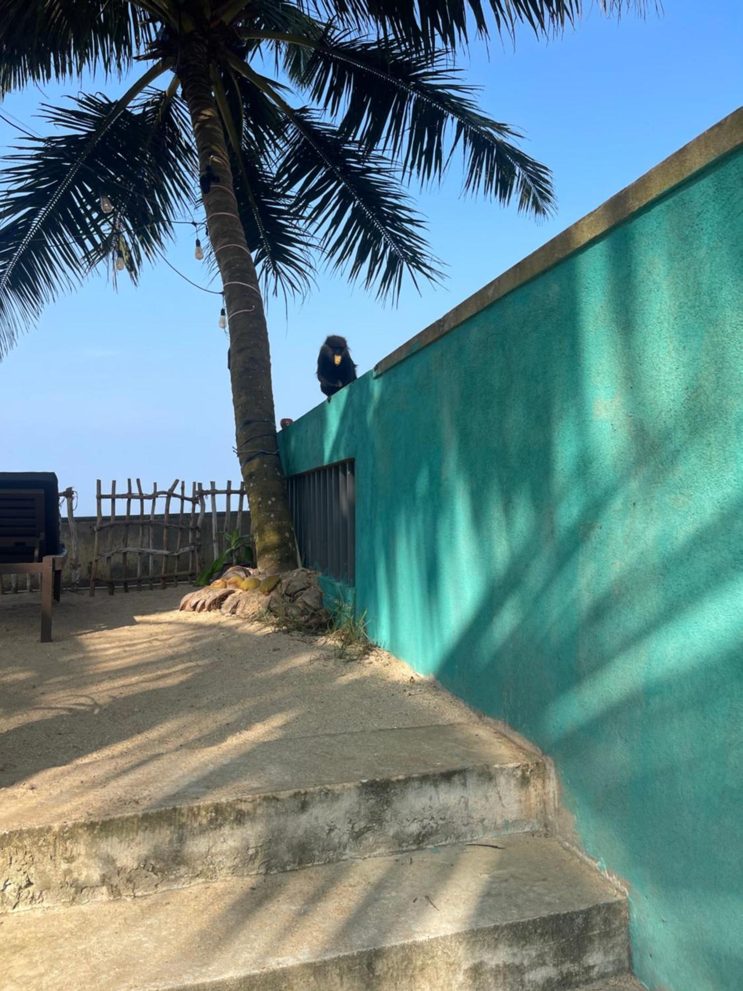 Blue Maalu Resort Ambalangoda  Dış mekan fotoğraf